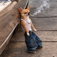 chico