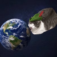 world licking cat