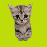 Milly