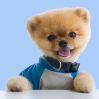 Jiffpom