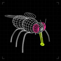 FLYPAD logo