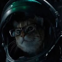 Space Cat