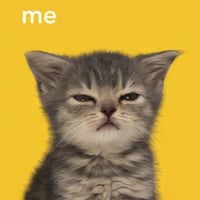 CATTO logo