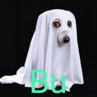 BU logo