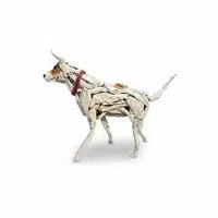 Logo de Hachiko the Stickdog