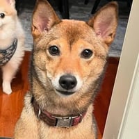 0x018D771bcBEB97A34323BB0d0068cc0EE5BC44b6