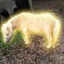 Peanut The Horse