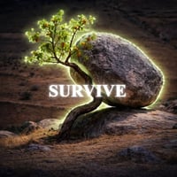 SURVIVE