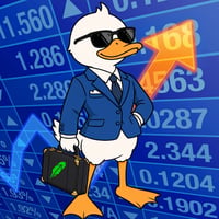 Cash Duck