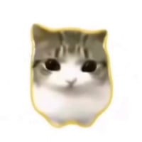 DAM