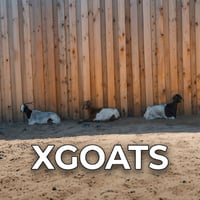 The SpaceX Goats