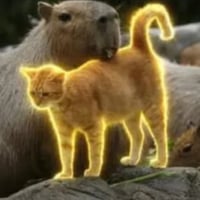 The Cattybara