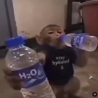 H2O