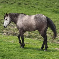 EvV1SgXUzZ64Sw6iqgiUdjtYjbrEj28HKsW7mhnapump