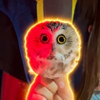 SMOWL logo