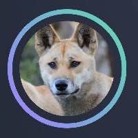 Elon Musk’s new dog