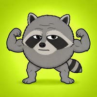 Round Raccoon