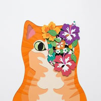The Half Faced Cat