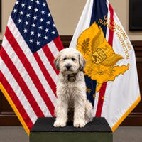 K9 Bentley