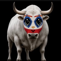 The Retarded Bull