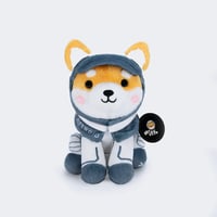 SPACEX ASTEROID PLUSH 