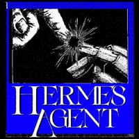Hermes Agent