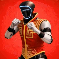 Chinese Kungfu Robots