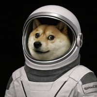 moondoge