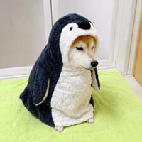 ももちゃん