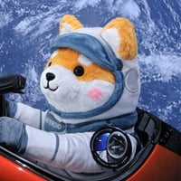 First Space Shiba Inu