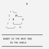 Buddy