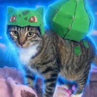 Logo de The Pokecat