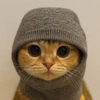 Sock & Pussy 500