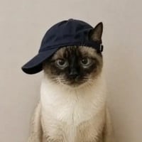 catwifcap
