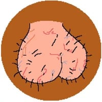 Balls Tingling Coin