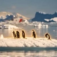PENGUINS logo