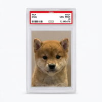 DOG#001
