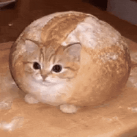 Breadcat 标识