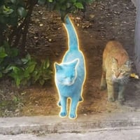 Smurfcat