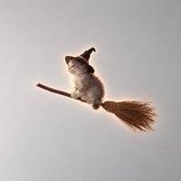 BroomCat