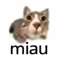 MIAU logo