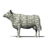 Cash Cow