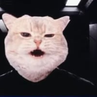 Commander Vrax