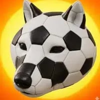 Football inu