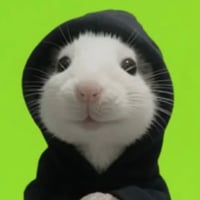 Hood Rat