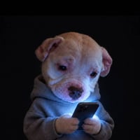 phubber