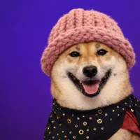 EnJzHJ5prnyvQWjLwqwSKfoJ3GsBCLprkZ6Nr1kNpump