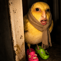 No me mires las Crocs