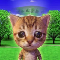smol cat