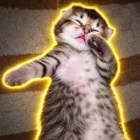 DABCAT logo